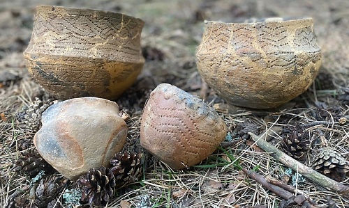 Мещерская археологическая экспедиция