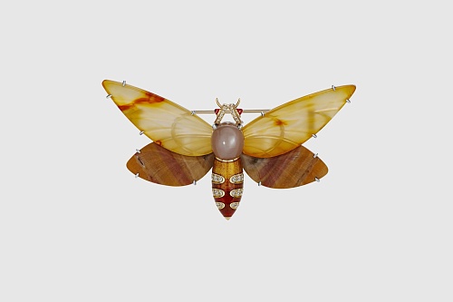 Обзорные экскурсии по выставке «На свет из темноты» 